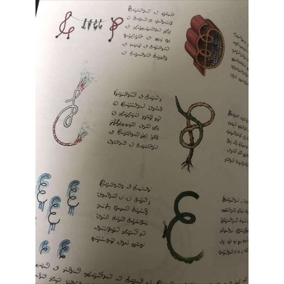 Luigi Serafini Codex Seraphinianus Print 181A - Picture 1 of 12